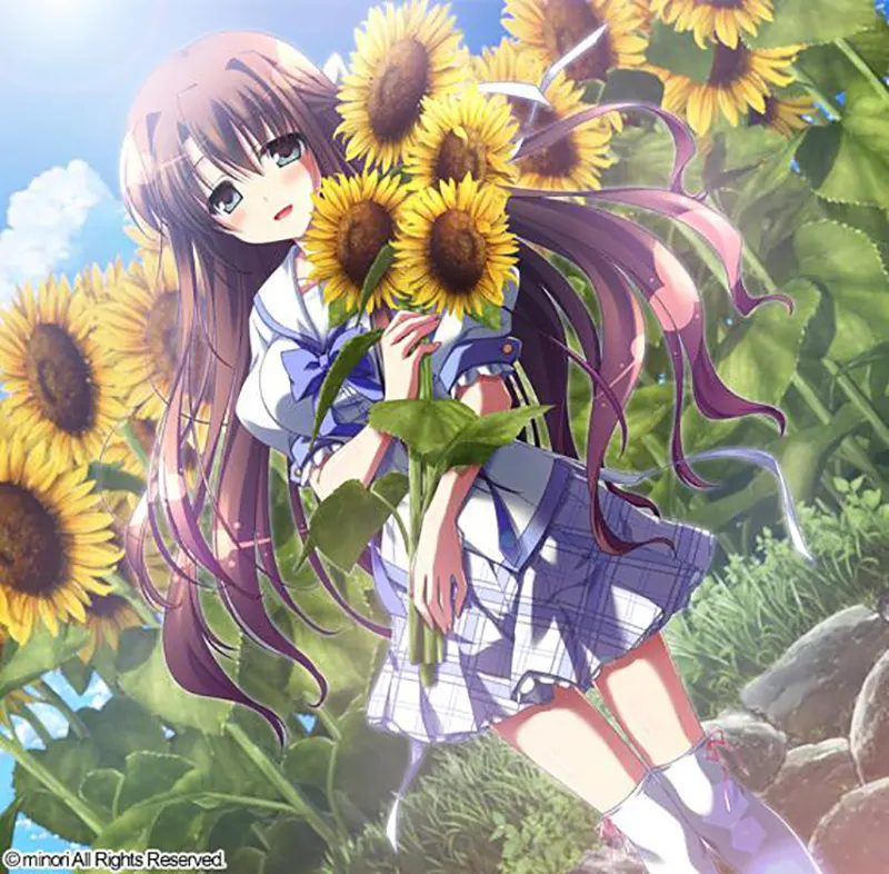  夏空的英仙座 / 夏空のペルセウス[Image uses new format, if not viewable, please update your browser or use Microsoft Edge]