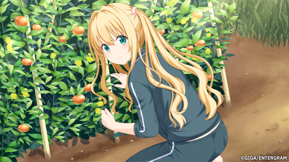  この青空に約束を― Refine 完全生産限定版【图片使用新格式, 如无法查看请更新浏览器或使用Microsoft Edge】